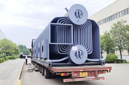 Reciprocante Parrilla 25ton Caldera de Biomasa Wood Chips