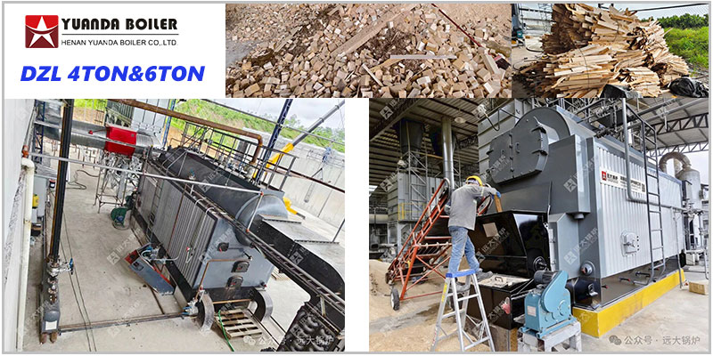 4ton 6ton dzl caldera con carbon biomasa