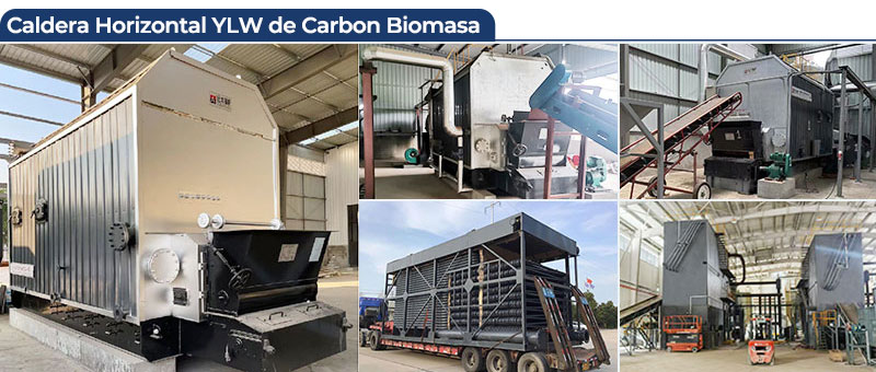 Caldera-de-biomasa-y-carbón-YLW,-caldera-de-aceite-térmico.jpg