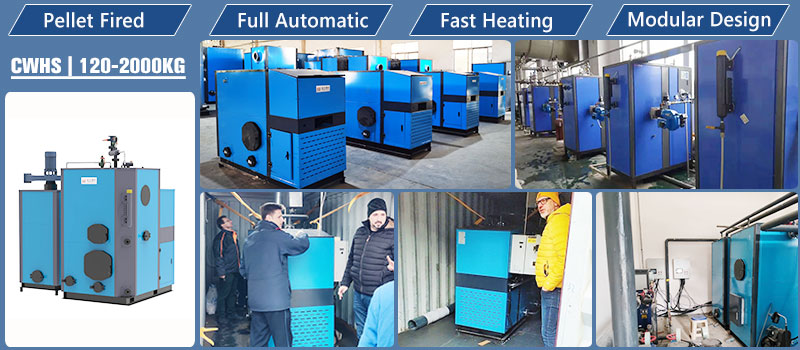 120-to-2000kg-capacity-biomass-pellet-fired-small-boiler,-small-steam-boiler-4.jpg