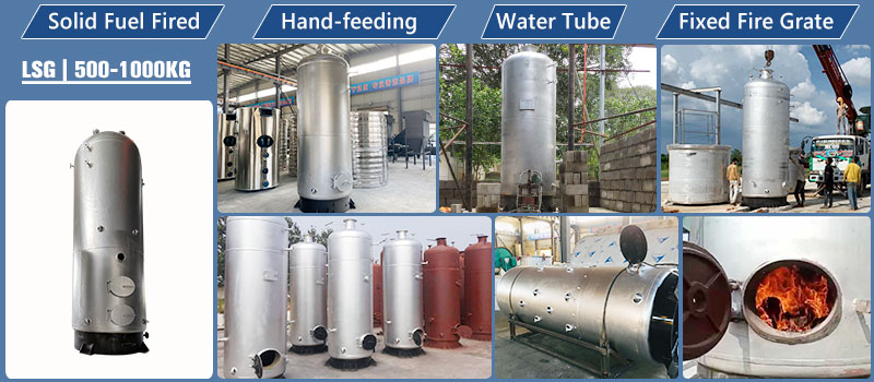500-1000kg-steam-capacity-small-boiler,-firewood-coal-jute-fired-small-boiler.jpg