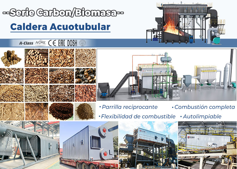 Caldera-Acuotubular-Combutible-Carbon-Biomasa-Wood-Lene-Para-Argentina