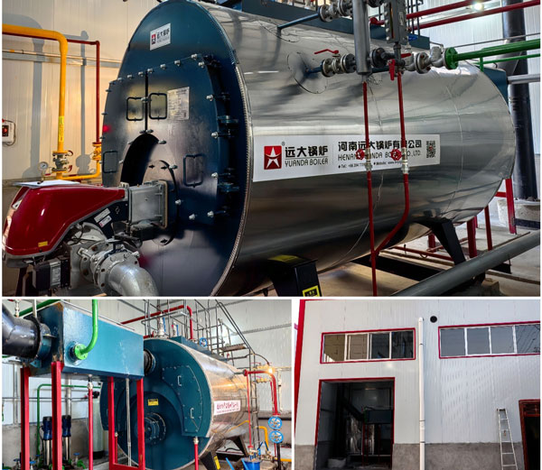 Caldera de vapor de gas natural de 200 hp utilizada para fabrica de alimentos en Argelia