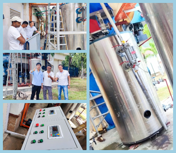 Pequena caldera de vapor 500 kg vertical para lavanderia industrial en Seychelles