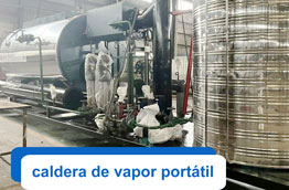 Caldera de Vapor Portable WNS de 2000kg y 150hp Enviada a Egipto