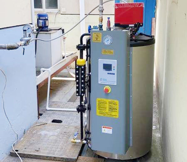 Generador de Vapor Vertical a Gas LP de 15 HP Caldera para Lavanderia