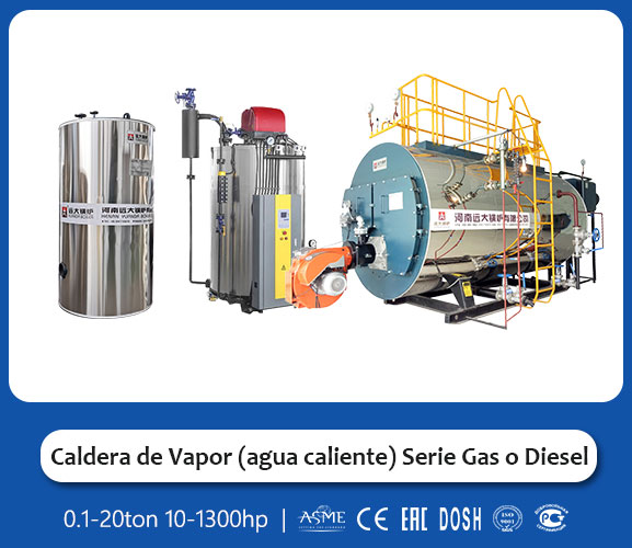 Caldera de Vapor de Gas y Aceite