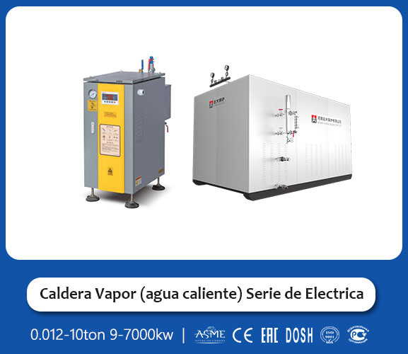 Caldera Eléctrica de Vapor Agua WDR