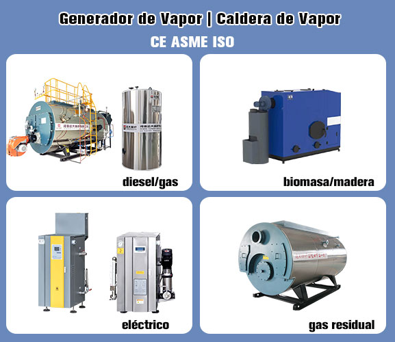 Generador de Vapor