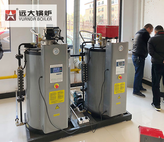 Generador de Vapor LSS Diesel gas