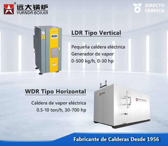 Caldera El&eacute;ctrica de Vapor Agua WDR