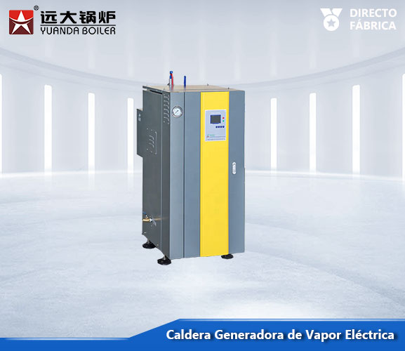 Generador de Vapor El&eacute;ctrico LDR