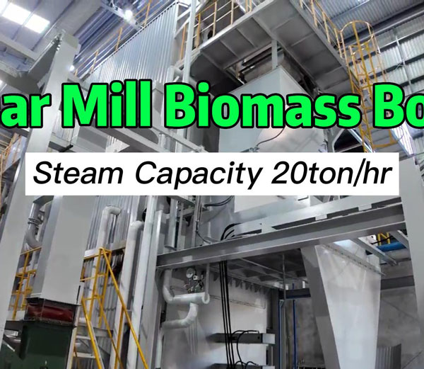 Caldera de vapor de biomasa de 20 toneladas con parrilla reciprocante
