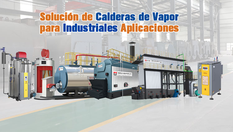 Caldera de Vapor