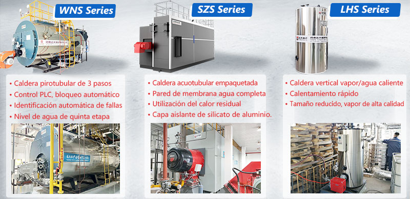 Caldera Vapor Gas/Diesel Agua Caliente.jpg