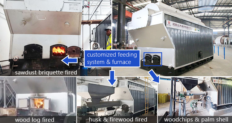 Hand-feeding Biomass Boiler, Caldera de Biomasa Manual DZH
