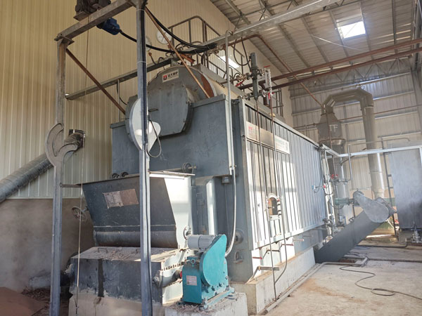 tipos de calderas de biomasa DZL BIOMASS BOILER