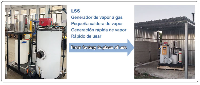 caldera--capacidad-20-caballes-gas-pequena-caldera-de-vapor