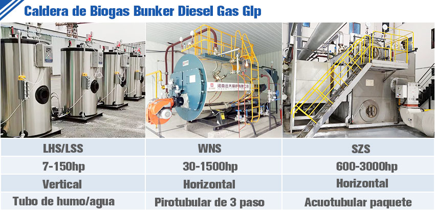 Caldera-de-Biogas-Bunker-Diesel-Gas-Glp.jpg