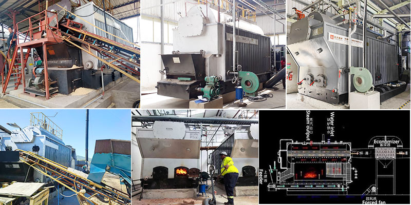 1765531666234865.jpg 1765531666234865.jpg