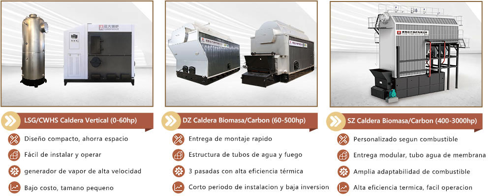 1768809076472188.jpg 2-caldera-de-vapor-para-biomasa-mandara-lena-pinea.jpg