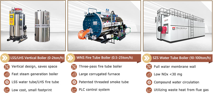 1769150209613384.jpg 900-steam-boiler-fuel-with-gas-diesel-lpg-biogas.jpg