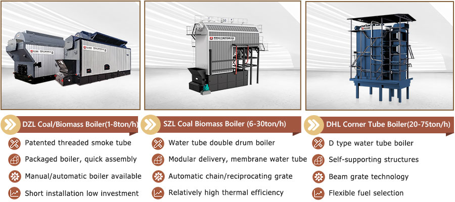 1769150219258395.jpg 900-steam-boiler-fuel-with-coal-biomass-woodchips-rice-husk-palm-fiber.jpg