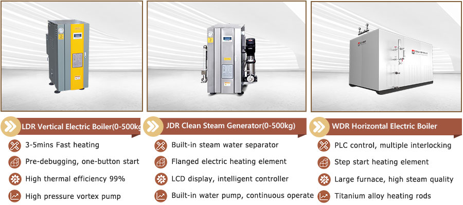 1769150228498968.jpg 900-steam-boiler-fuel-with-electricity.jpg