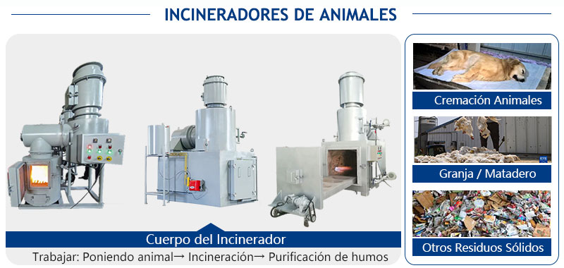 forno-crematorio-pet,incinerator-animale-pet.jpg