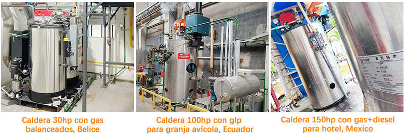 Caldera-de-vapor-de-30-hp-a-gas-para-una-planta-de-alimentos-balanceados-en-Belice,-caldera-de-vapor-de-70-hp-a-gas-para-una-granja-avícola-en-Ecuador,-caldera-de-vapor-de-150-hp-para-un-hotel-en-Jamaica Caldera-de-vapor-de-30-hp-a-gas-para-una-planta-de-alimentos-balanceados-en-Belice,-caldera-de-vapor-de-70-hp-a-gas-para-una-granja-avícola-en-Ecuador,-caldera-de-vapor-de-150-hp-para-un-hotel-en-Jamaica